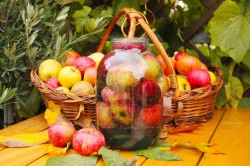 Яблочный компот из яблок 3 литровая банка на зиму